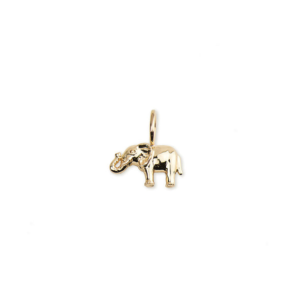 Elephant Charm